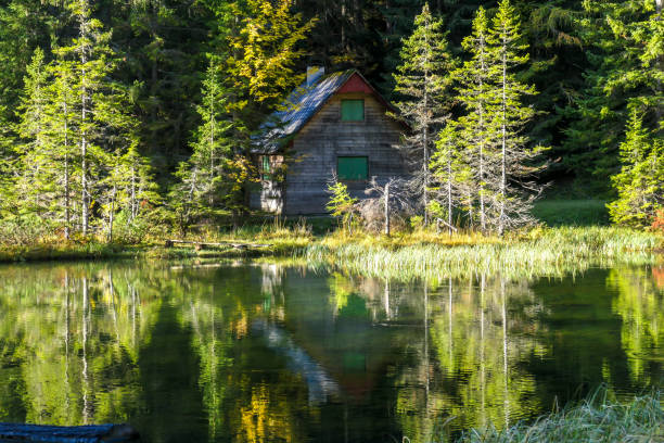 istock Austria - A small cottage by the lake side 1213285066