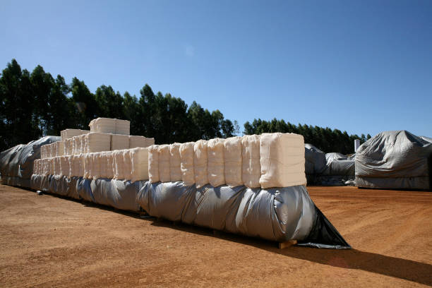 istock bale of cotton 1213286678