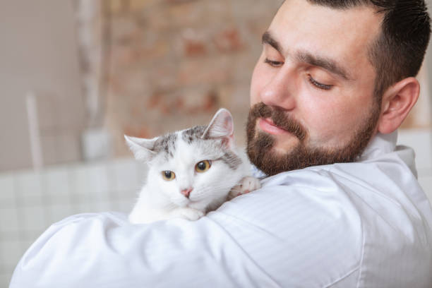 istock Male veterinarian working at his clinic 1213287566