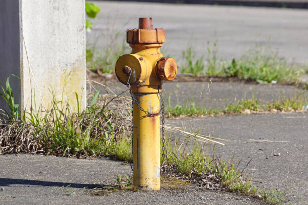 istock Yellow fire hydrant Freeport, Maine, New England, USA 1213288522