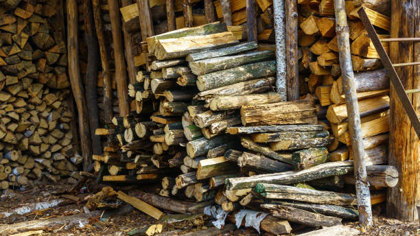 istock Stacked in a woodpile chopped firewood as a background. 1213289842
