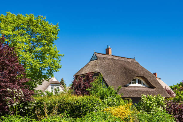 istock Building, trees and blue sky in Wieck, Germany 1213291919