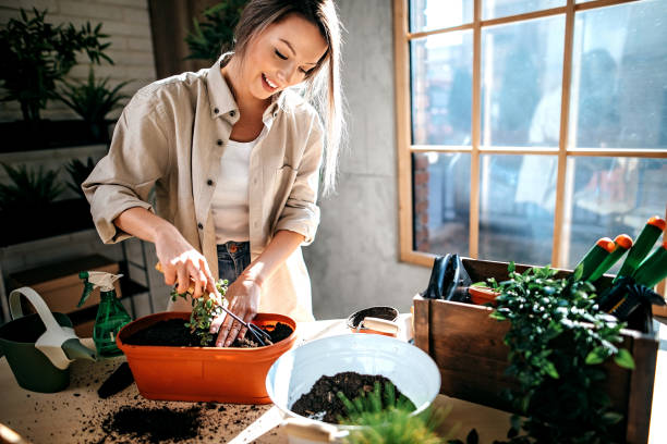 istock You need to grow 1213296758