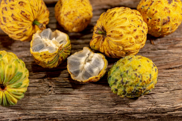 istock Fruit of the Annona crassiflora tree 1213298299
