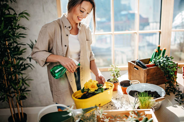 istock You need to grow 1213299951