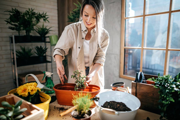istock I love my flowers 1213300834
