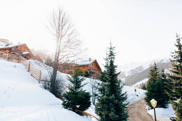 istock Alpine resort in Meribel in the Three Valleys 1213301987