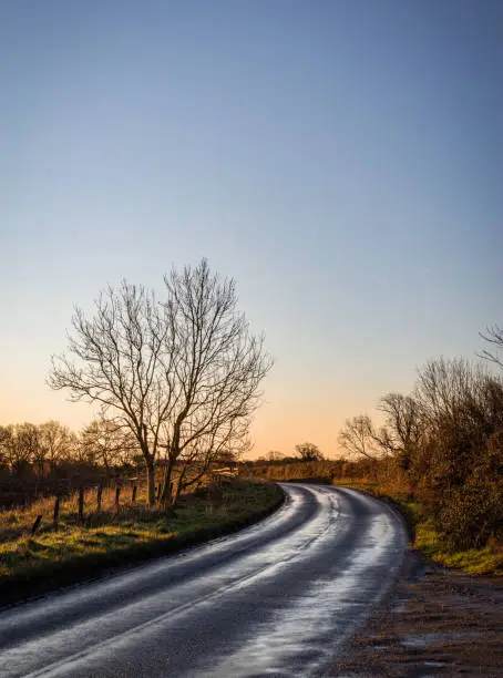 A wet country road bends around a corner as a dawn light falls on the hedgerows and trees. A blue sky is above.