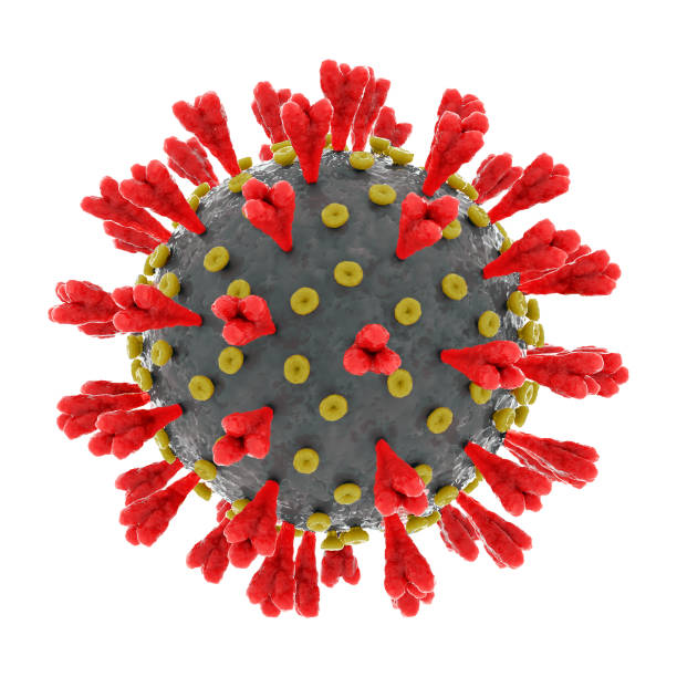 istock Severe acute respiratory syndrome coronavirus 2 causing covid 19 on white 1213314356