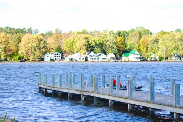 istock Dock on Shady Side of the Lake 1213315139