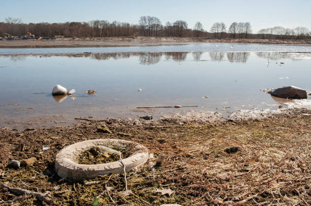muchos desechos en el fondo de un lago seco. contaminación ambiental y problema de sequía. - dry sea riverbank mud fotografías e imágenes de stock