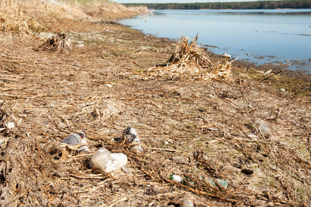 много отходов на дне сухого озера. загрязнение окружающей среды и засуха. - dry sea riverbank mud стоковые фото и изображения