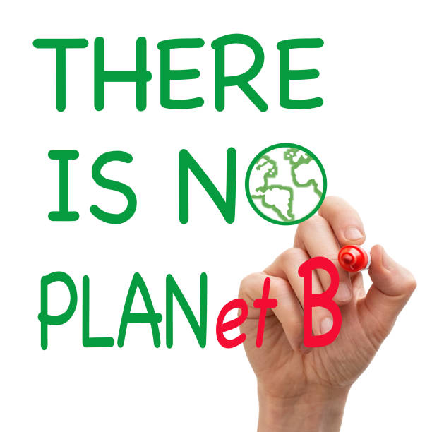 istock Climate change concept. Whiteboard with text there is no Planet B 1213319819