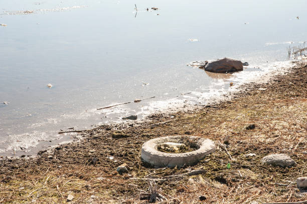 乾燥した湖の底に廃棄物の多く。環境汚染と干ばつ問題。 - dry sea riverbank mud ストックフォトと画像