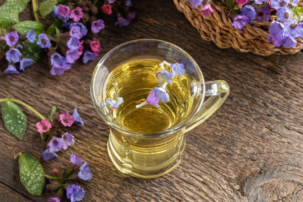 istock A cup of lungwort tea with fresh lungwort flowers 1213320007