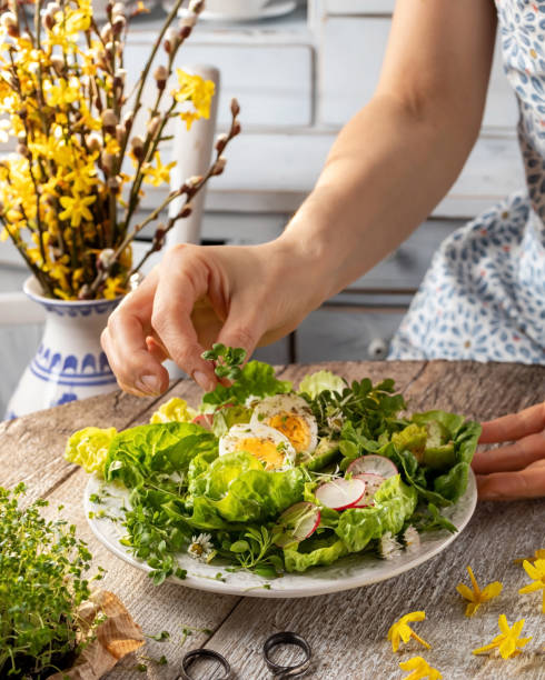 Serving a spring salad with microgreens and wild edible plants - chickweed and daisy Serving a spring salad with microgreens and wild edible plants - chickweed and daisy flowers stellaria media stock pictures, royalty-free photos & images