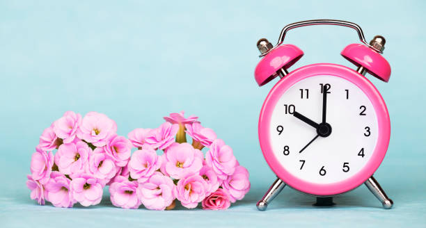 istock Summer, spring concept, pink alarm clock and flowers on a blue background, banner 1213321998
