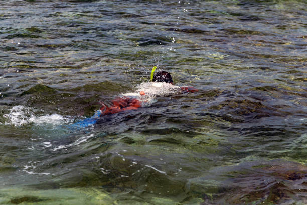 istock World Water Day young man diving snorkeling down into the deep blue ocean 1213323092