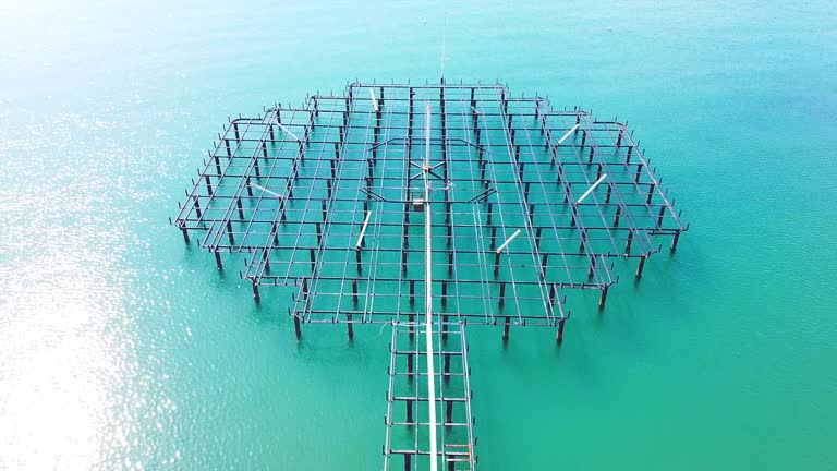 aerial shot coast and pier with drone