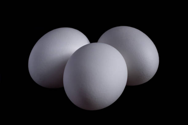 istock White organic chicken eggs isolated on a black background 1213325679