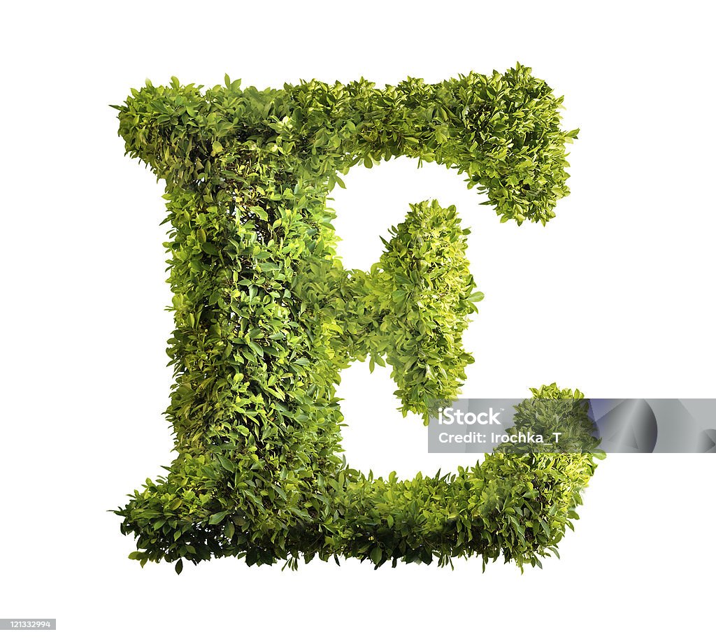 bush letter http://i136.photobucket.com/albums/q193/Irochka_T/Baner_Paint.jpg Alphabet Stock Photo