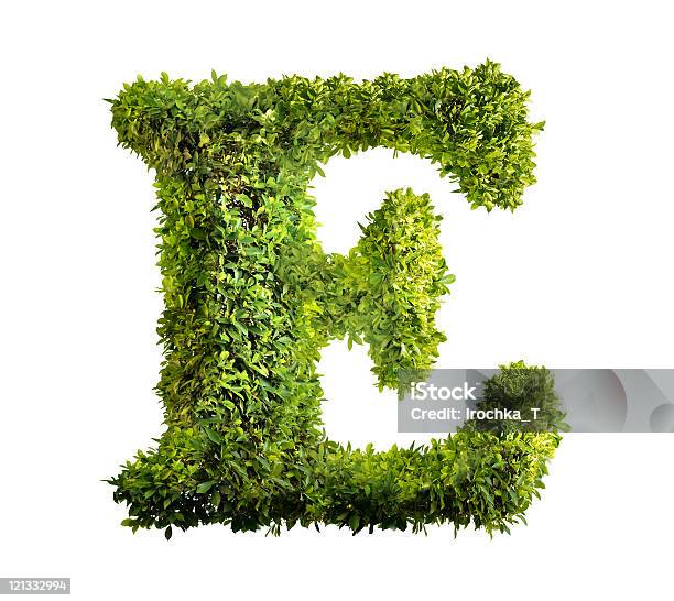 Bush Letter Stock Photo - Download Image Now - Alphabet, Bush, Branch - Plant Part