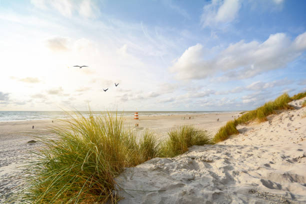 vista sul bellissimo paesaggio con spiaggia e dune di sabbia vicino a henne strand, paesaggio della costa del mare del nord jutland danimarca - denmark foto e immagini stock