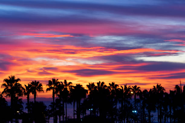 istock Colorful sunset in the city 1213331540