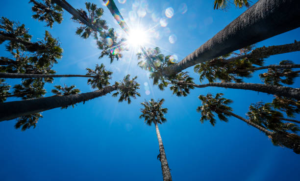 istock Summertime in Santa Barbara 1213331737