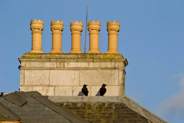 Two crows stand in the late evening sun atop the rooftop of a manorhouse next to the large chimney top. Taken in Beckenham Place Park, London, England.