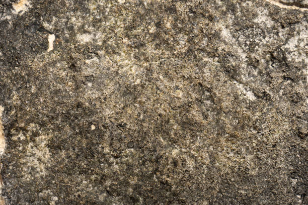 istock Rock texture and background at the beach 1213339237