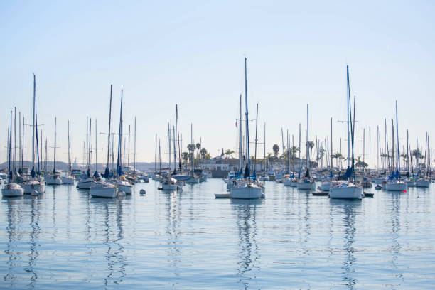 набережная сан-диего с парусными лодками. - san diego bay san diego california skyline waterfront стоковые фото и изображения