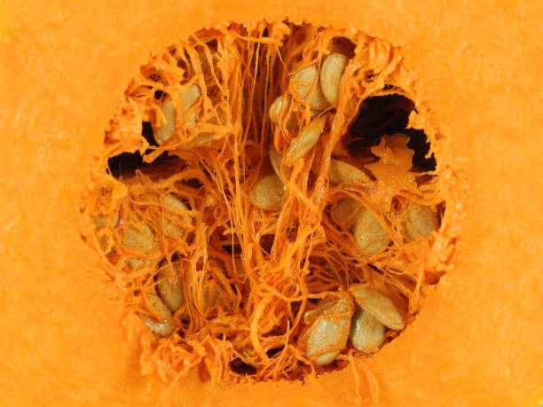 istock Half of pumpkin close up 1213339895