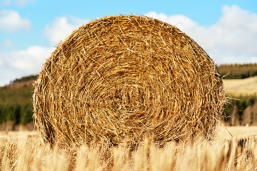 Hay Bale in an agricultural field.