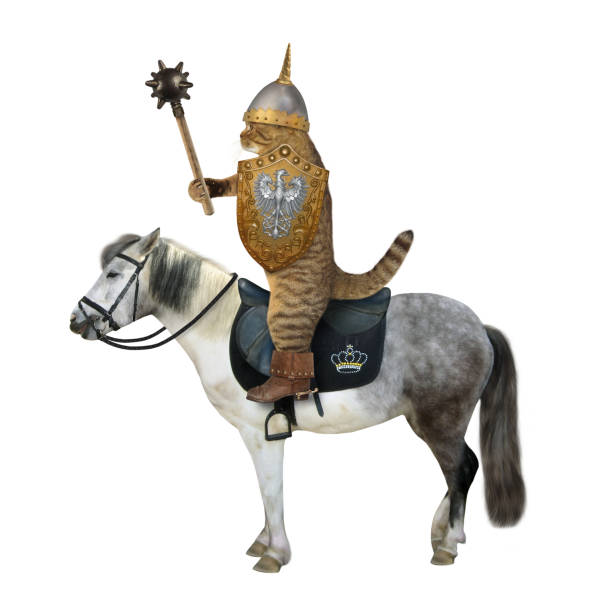 istock Cat with mace rides horse 1213341482