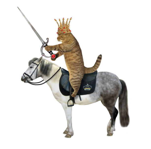 istock Cat king with sword rides horse 1213341487