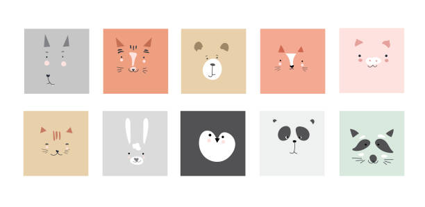słodkie proste portrety zwierząt - zając, tygrys, niedźwiedź, lenistwo, kot, koala, lis, alpaki, panda, pingwin. doskonały do projektowania ubrań dla dzieci.płaski styl - rabbit humor animal cartoon stock illustrations
