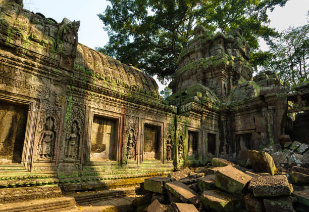tiefes relief von apsaras mit moos bedeckt im ta prohm tempel, angkor wat, kambodscha - angkor wat prehistoric art apsara angkor stock-fotos und bilder