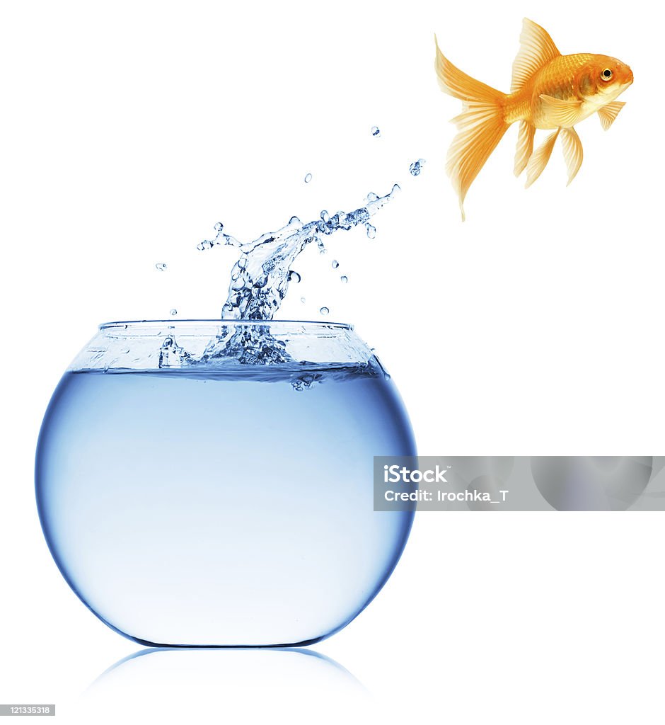 My Image 7