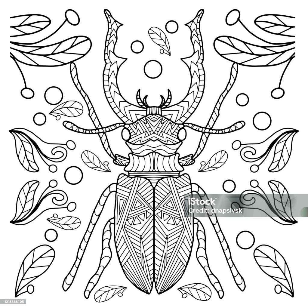 색칠하기 색칠 공부 책 곤충 자연에 대한 흰색 배경에 나뭇잎과 원손으로 그린 곤충 0명에 대한 스톡 벡터 아트 및 기타 이미지 -  0명, 건축, 고대의 - Istock