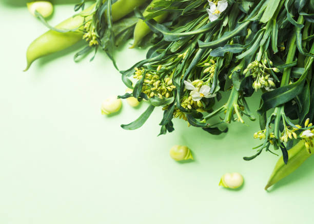 istock Green vegetables and herbs on mint pastel 1213371536