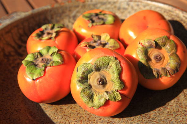 istock Persimmons in a Wide Bowl 1213371863