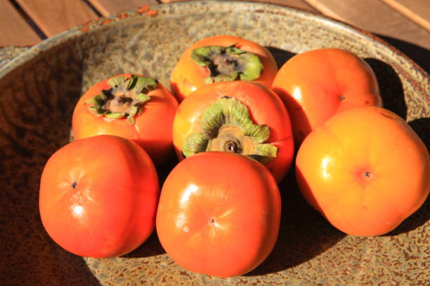 istock Persimmons in a Wide Bowl 1213371866