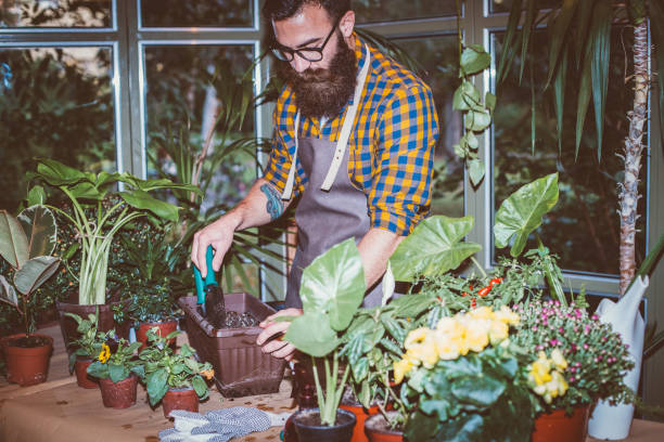 istock Taking care of your plants 1213374230