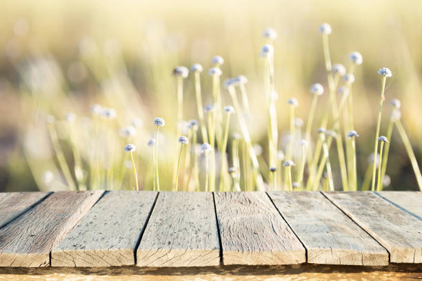 istock Wooden textile front view with purple flower nature background 1213375364