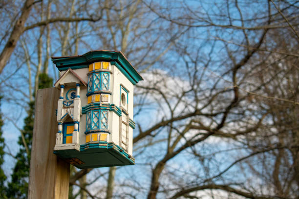 istock A Detailed Teal and White Bird House in a Dead Forest 1213376950