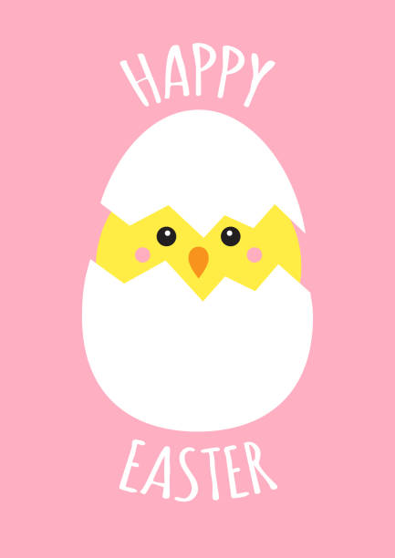 Vector flat cartoon kawaii yellow chick in egg shell and hand drawn lettering isolated on pastel pink Vector flat cartoon kawaii yellow chick in egg shell and hand drawn lettering isolated on pastel pink background. Happy easter greeting card easter drawings stock illustrations
