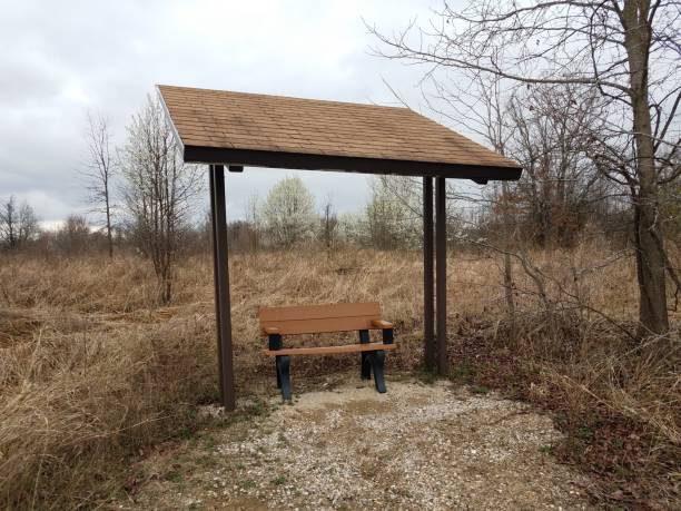 istock bench or seat with covered roof and brown grass 1213382279