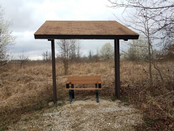 istock bench or seat with covered roof and brown grass 1213382299