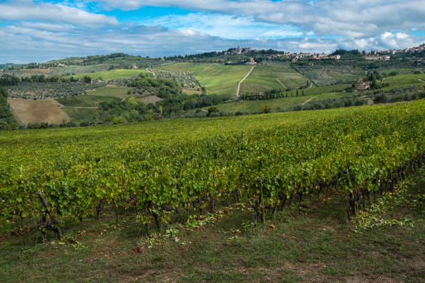 istock Tuscan vineyards, fields and villages.  Italy. 1213394873
